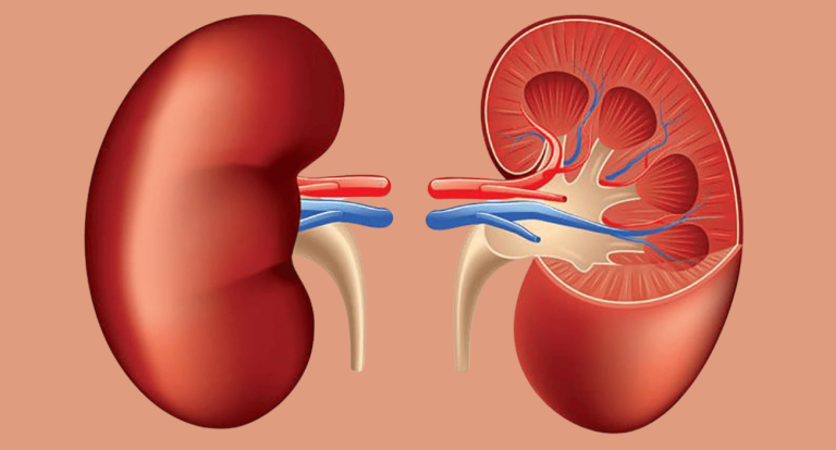 Early Warning Signs of Kidney Disease: What You Need to Know